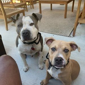 Meet your Posher, Dewayne